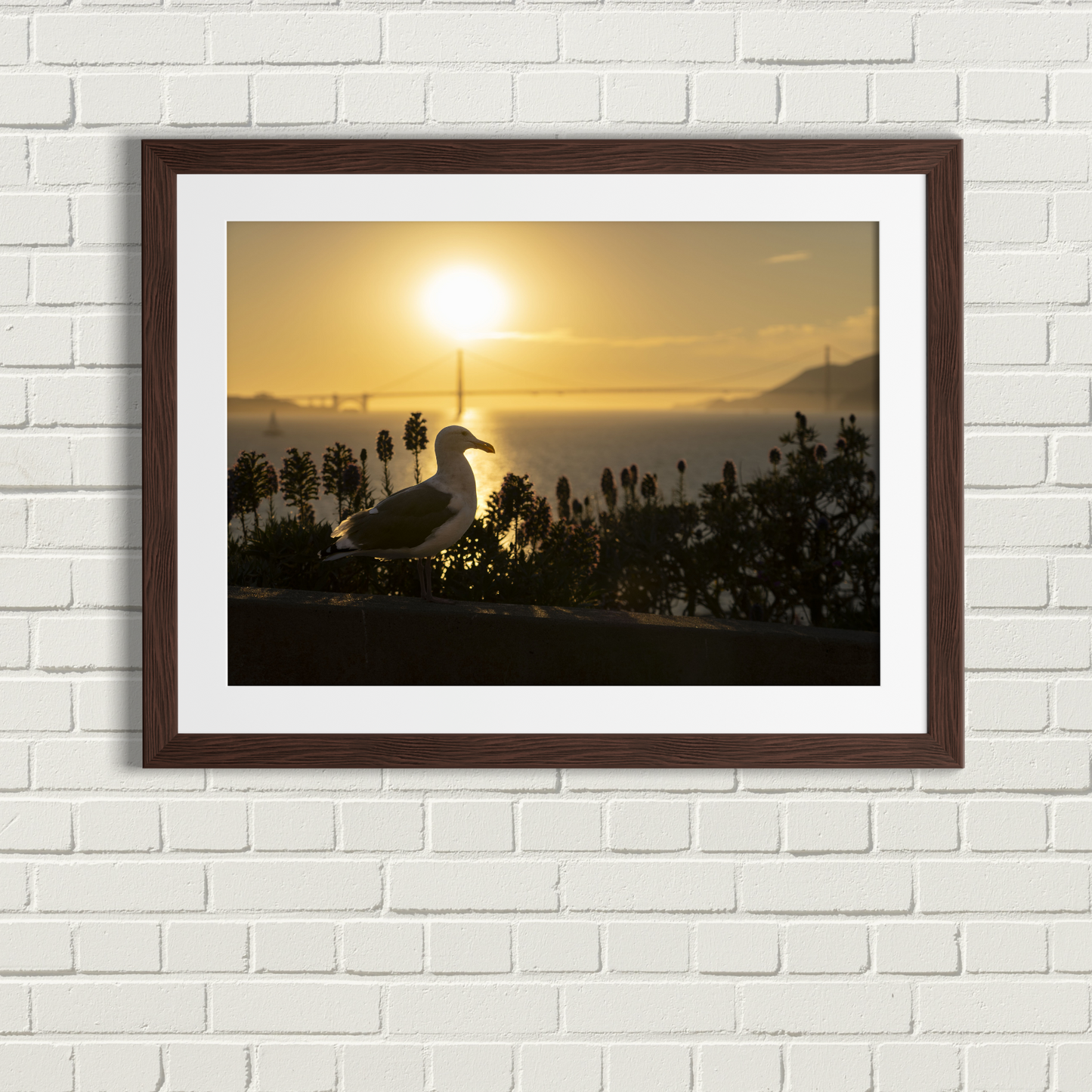 Golden Gate Bridge Sunset