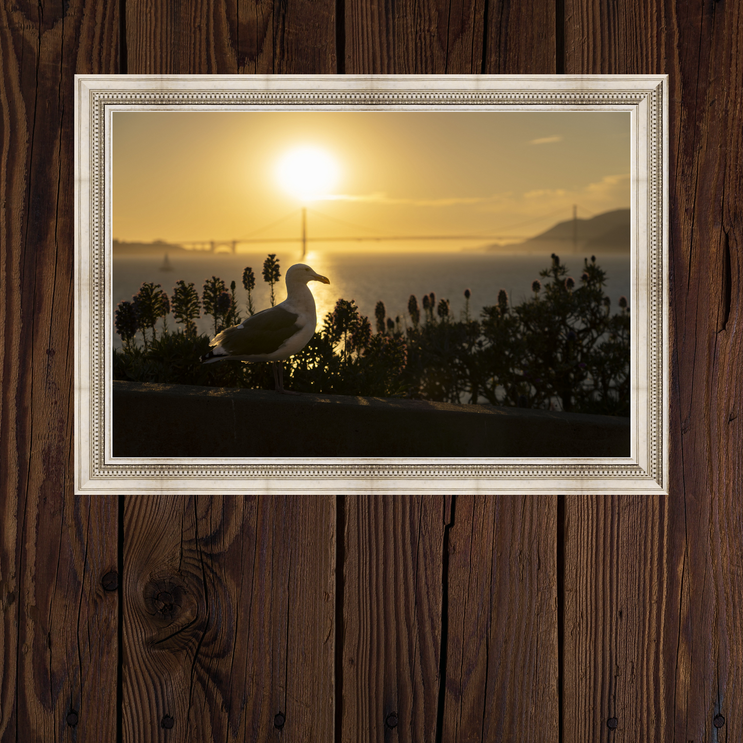 Golden Gate Bridge Sunset