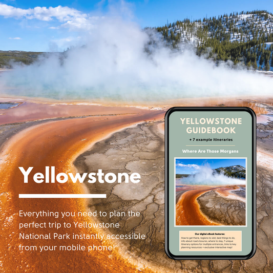 Guía de viaje del Parque Nacional Yellowstone