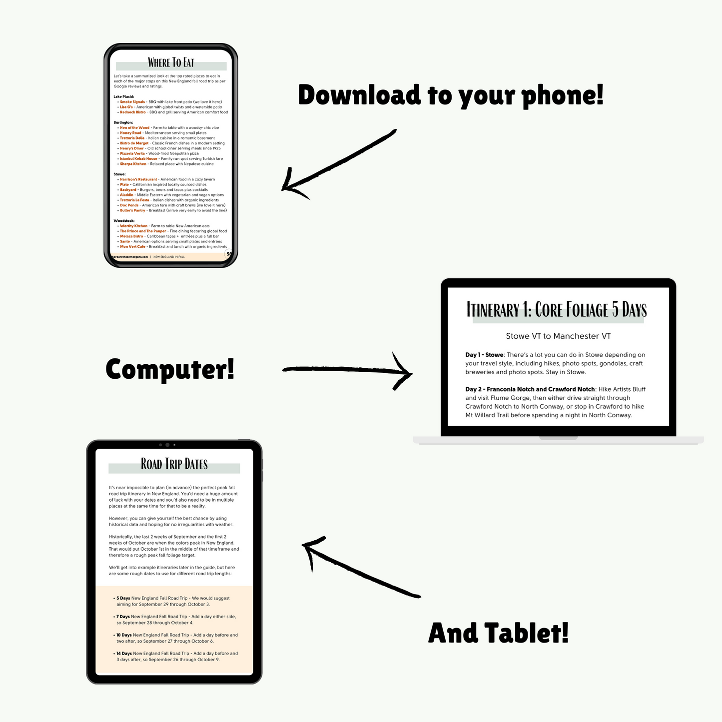 A guidebook being displayed as an example on phone, tablet and computer screens.